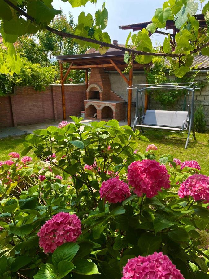 Holiday Home Esku Orşova エクステリア 写真